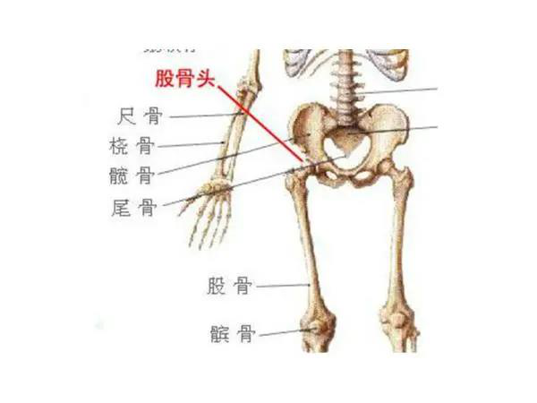 股骨頭不好，不要再做這些運(yùn)動！