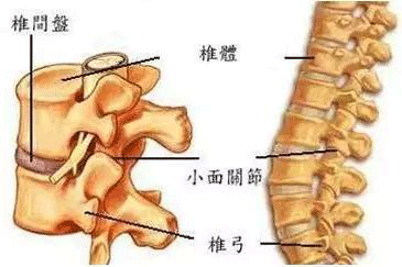 如何預(yù)防腰椎壓迫坐骨神經(jīng)？